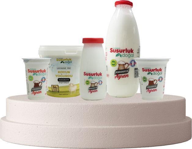 Ayran